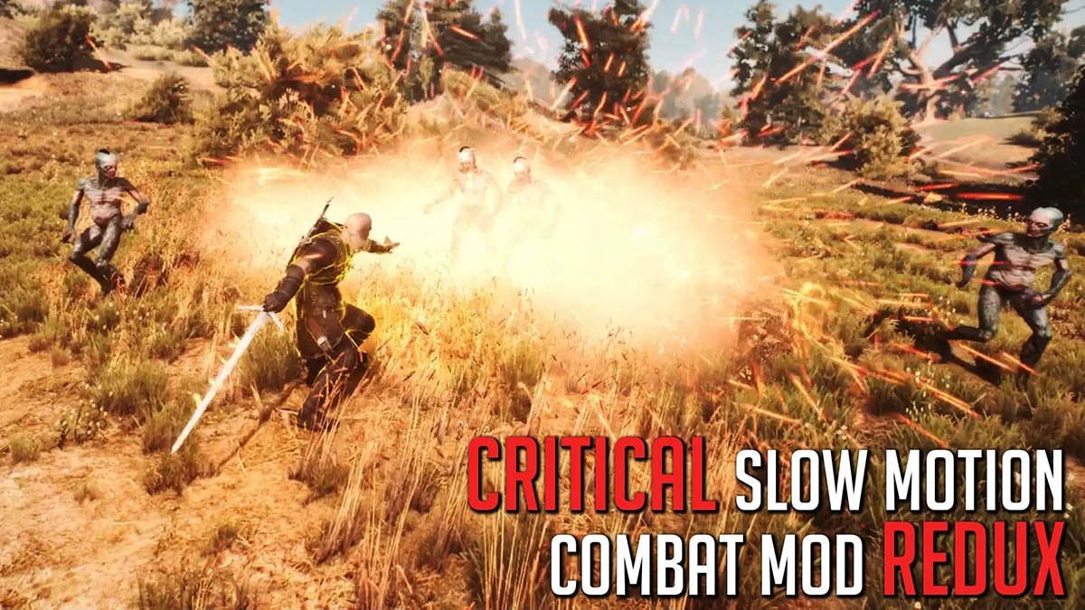 Critical Slow Motion Combat REDUX