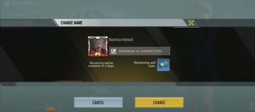 How to change a name in CoD: MW2, MW3, Warzone 2?