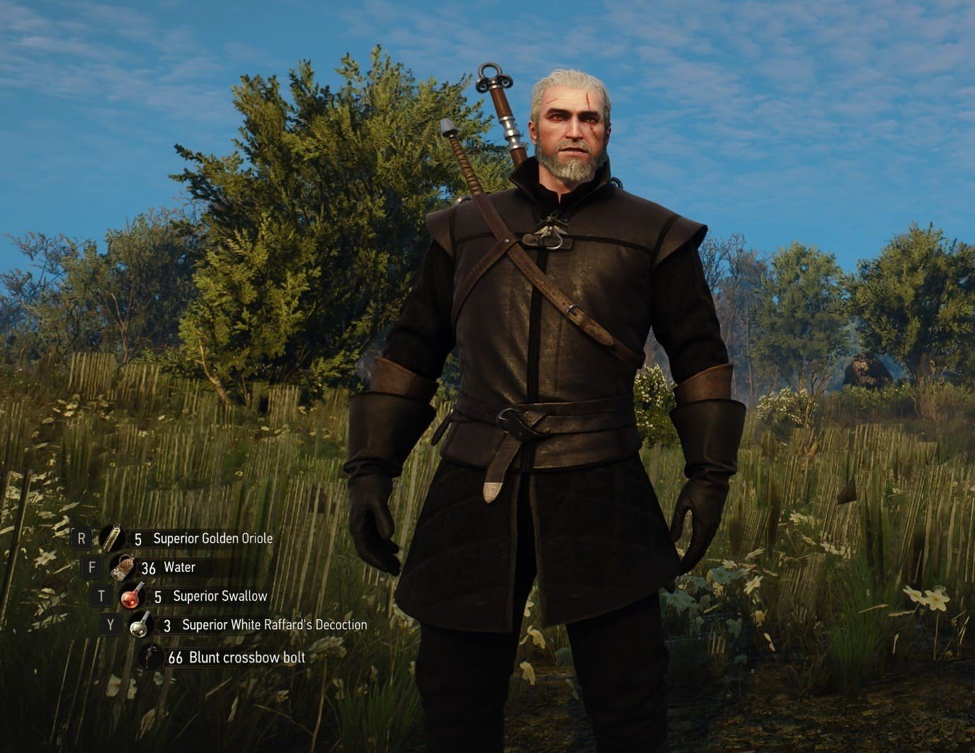 Cheats for School of the Griffin armor in The Witcher 3
