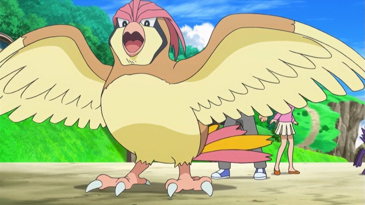 Pidgeot