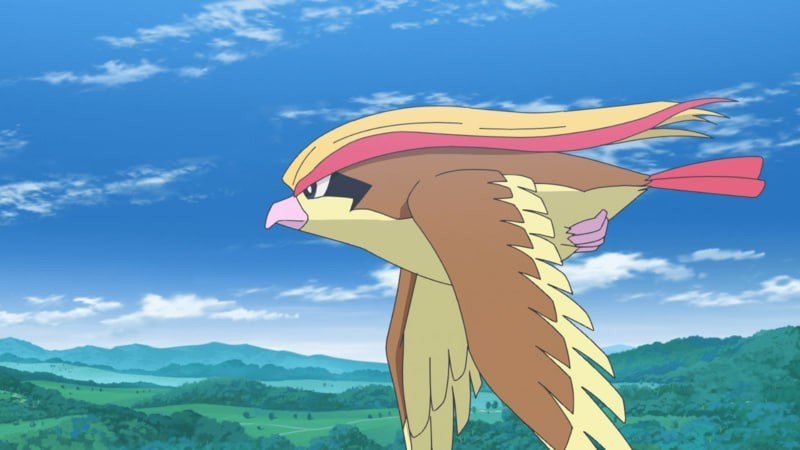 Staraptor