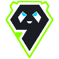 9P