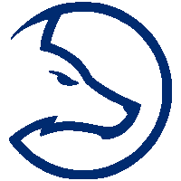 Team LDLC