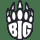 BIG Academy Logo
