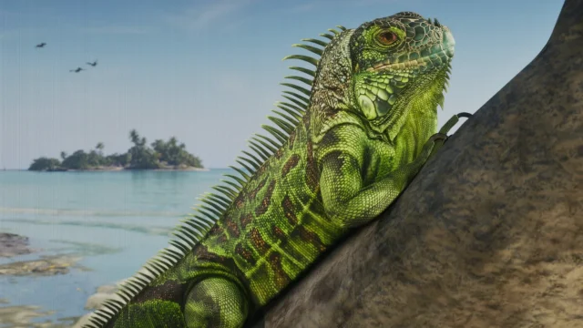 GTA 6 Will Feature More Than 170 Animal Species Across Leonida